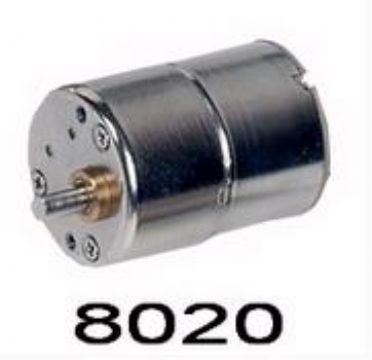 8020